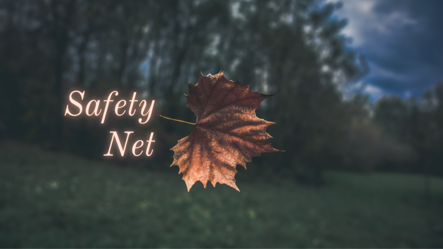 Writer Life: Safety Net